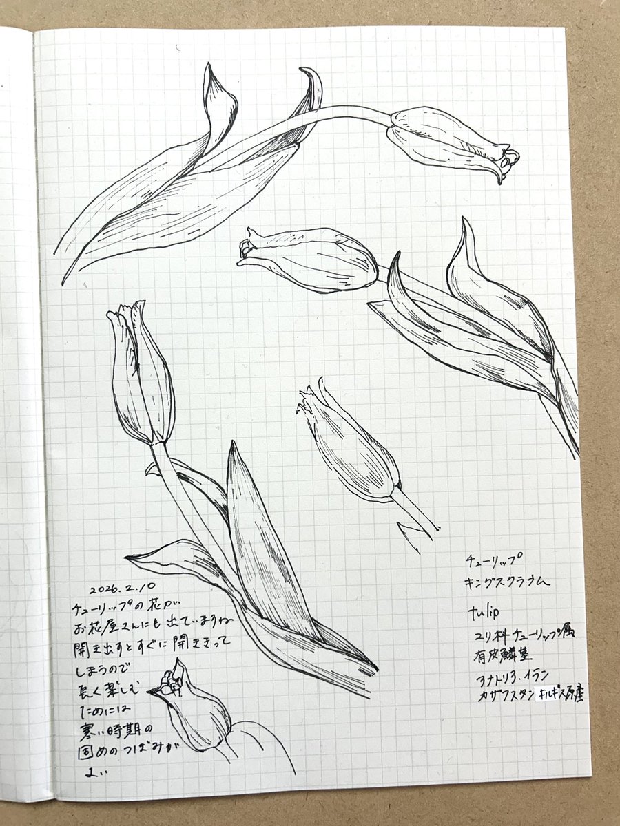 星川あすか Hoshikawa Asuka (@hoshias2) on Twitter photo 