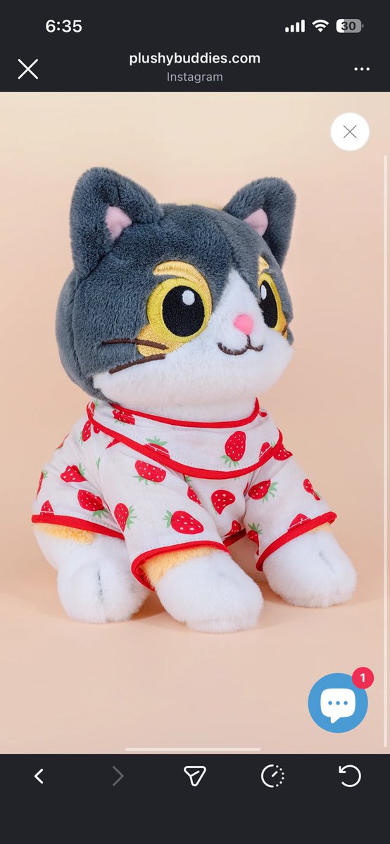 They turned her into a marketable plushy!