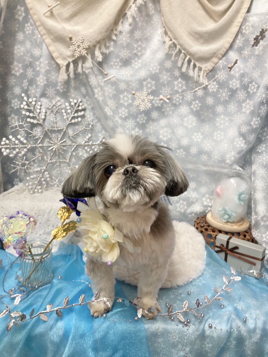 ふーみん tweet media