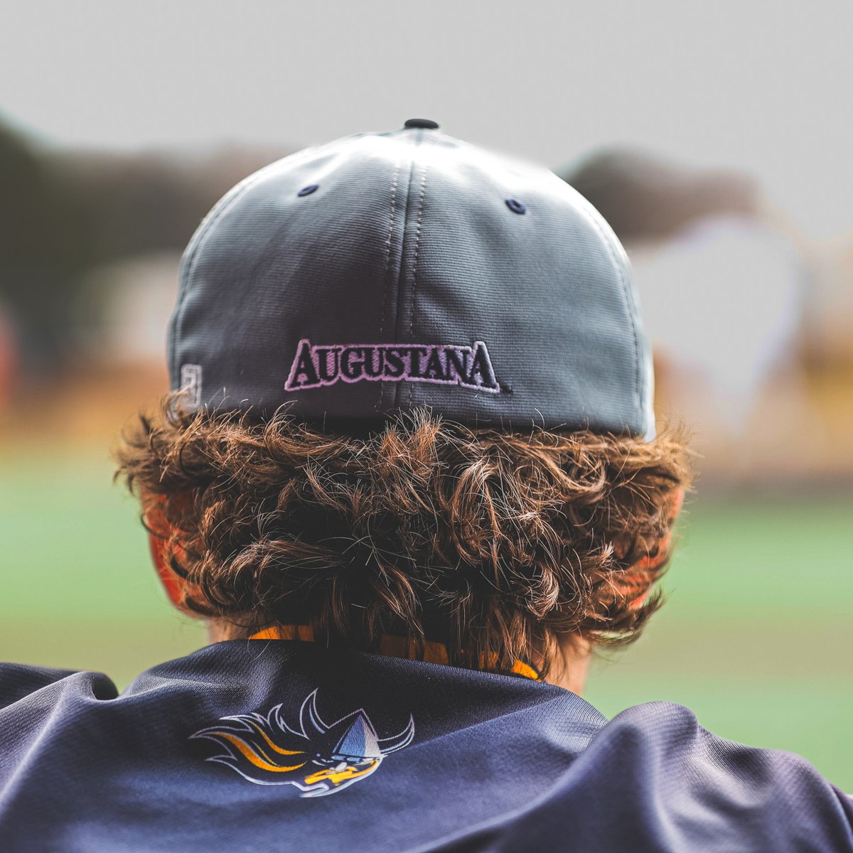 Augustana Vikings tweet media