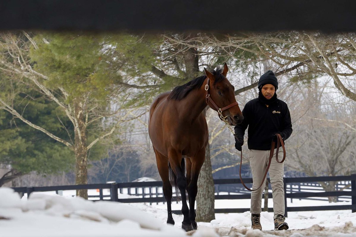 Fasig-Tipton tweet media
