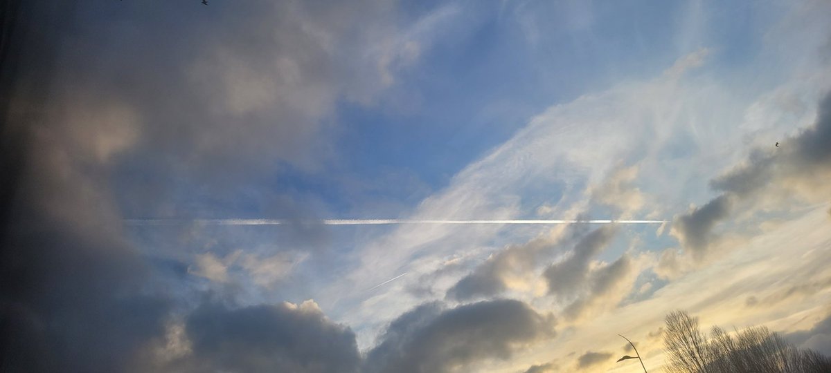 ANGRYNIC tweet media