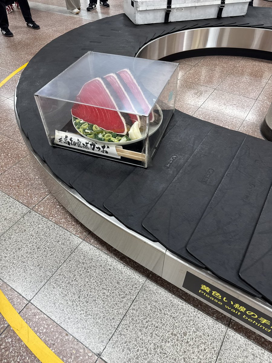 今日は高知