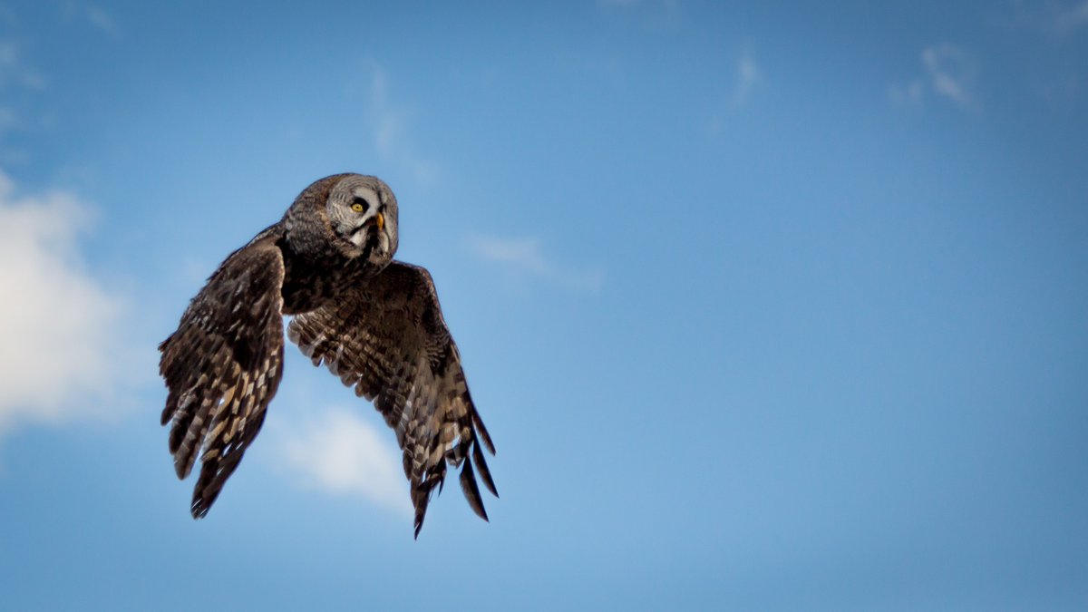 Friday/weekend/warmer temps lookout posted!