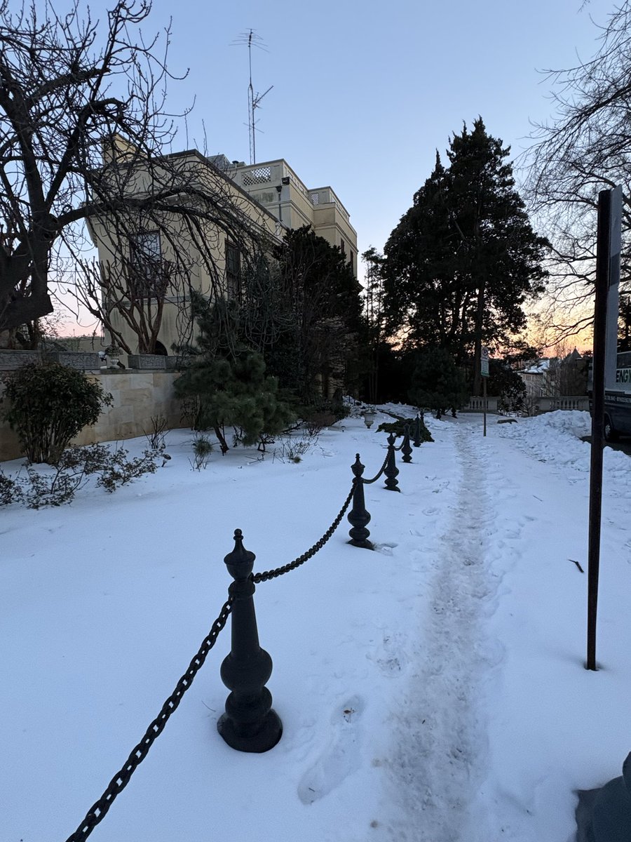 FelicityDC tweet media