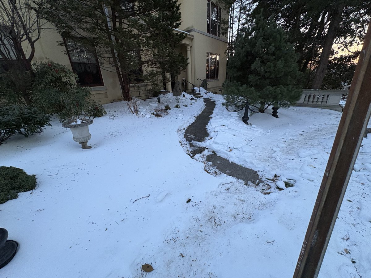 FelicityDC tweet media