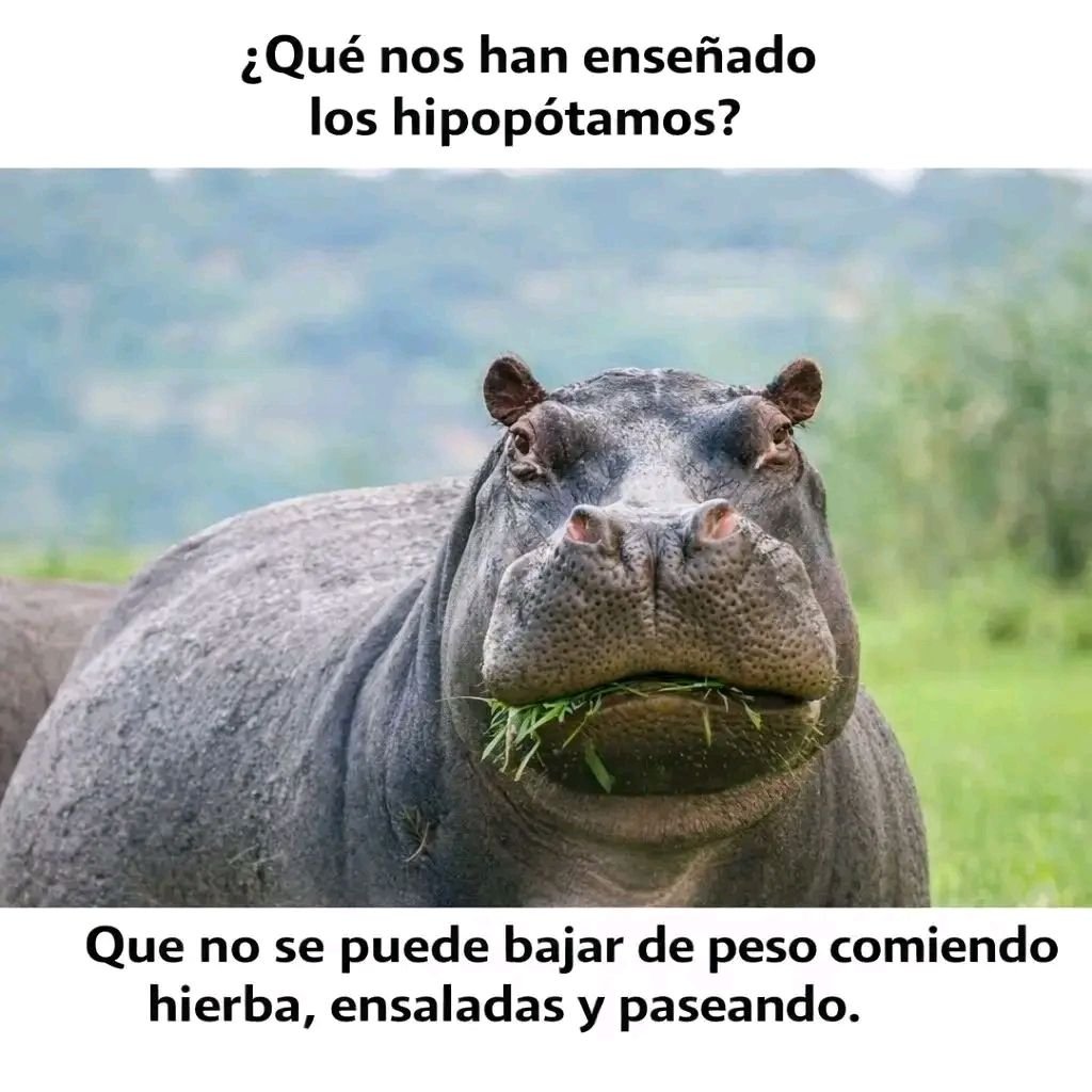 Si cierto!!! 😂😂😂😂