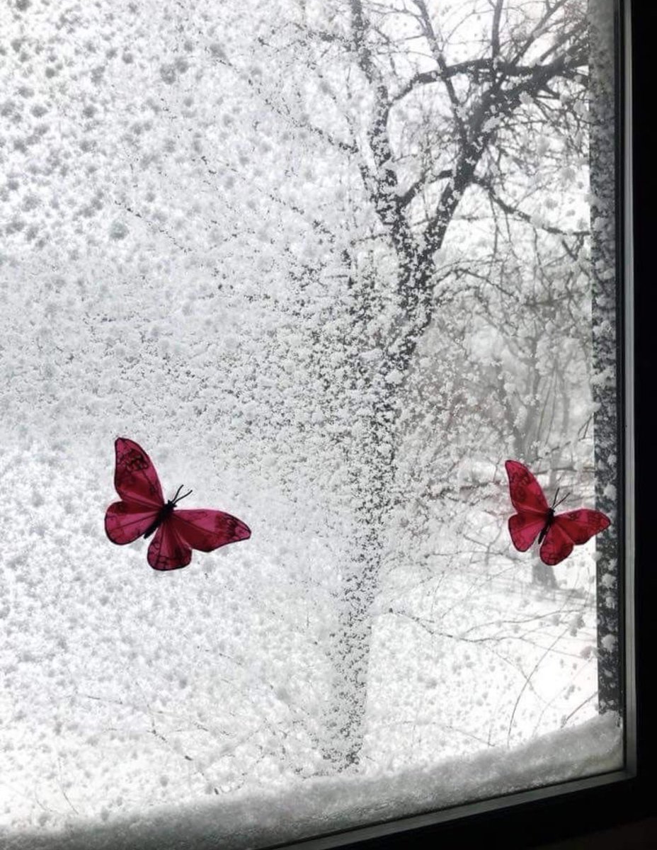 ريـــم tweet media