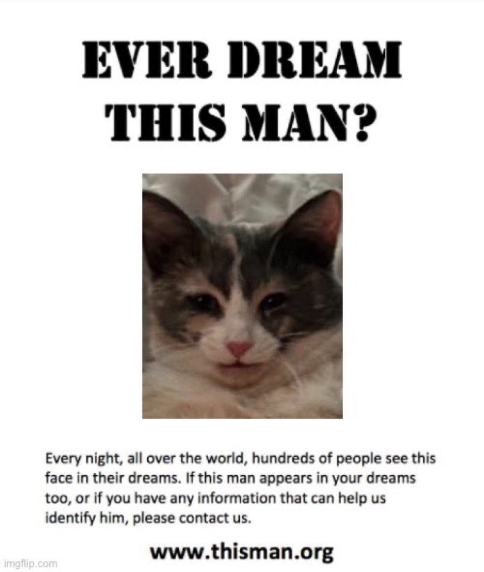 oreoeocat's tweet image. 