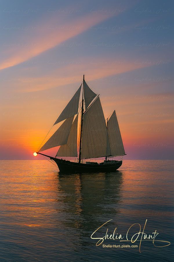shelia_hunt's tweet photo. "𝐒𝐎𝐅𝐓 𝐖𝐈𝐍𝐃𝐒 𝐀𝐓 𝐒𝐔𝐍𝐒𝐄𝐓", sailing at sea: https://t.co/S0BcLMBBlY 

#SheliaHunt #BuyIntoArt #SunsetSailing #TallShip #OceanSunset #Sailing #Sunset #SunsetPhotography #ayearforart #WallArt #homedecor #InteriorDesign #ArtForSale #Naturephotography https://t.co/NW0s2fZSRd