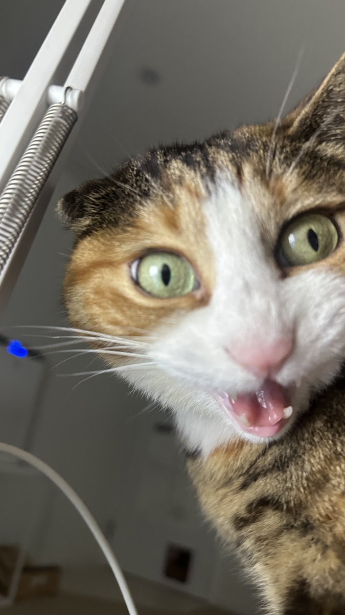 조금 조용히 말해주면 좋겠어