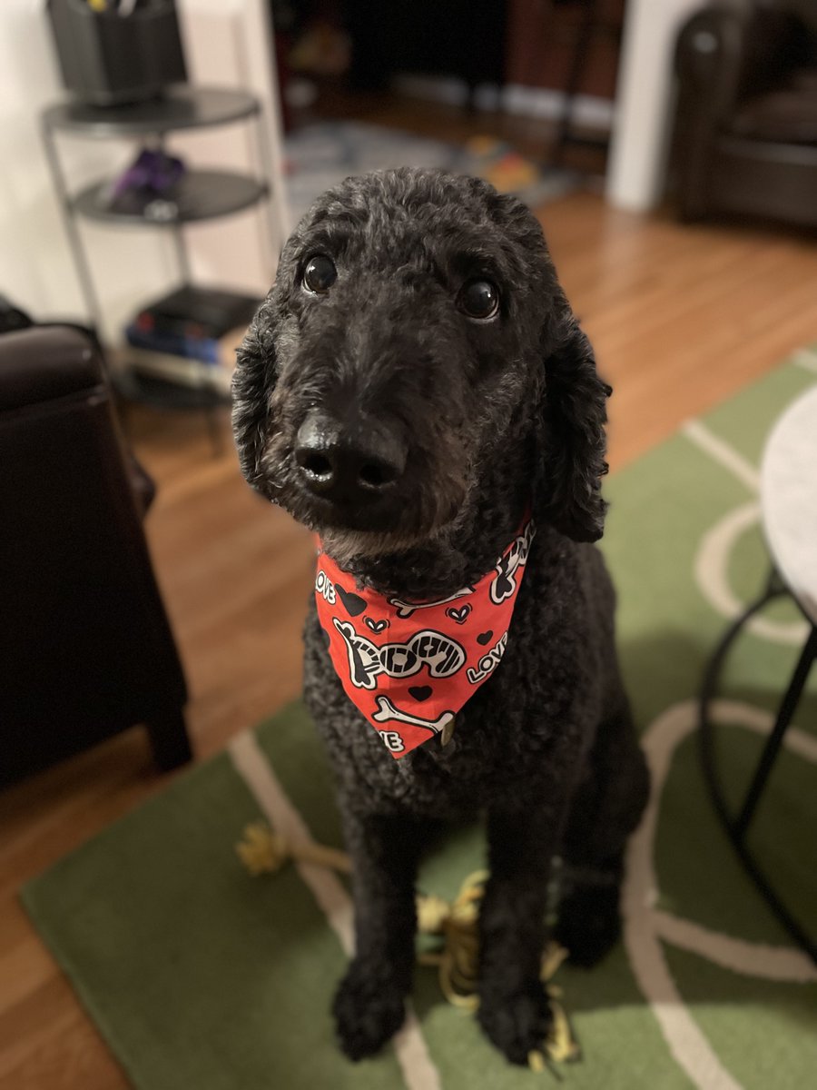 Em9 🖤🩶🤍💜 tweet media