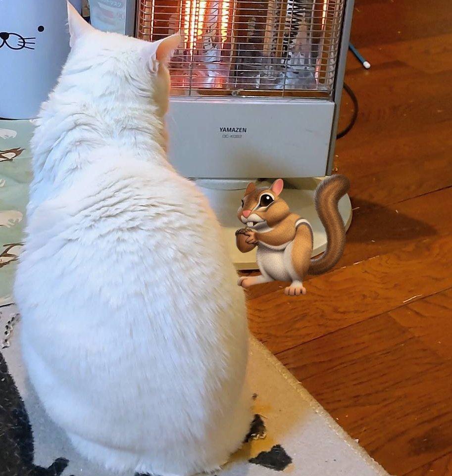 ぬくぬくマリンさん♨️

＃猫好き