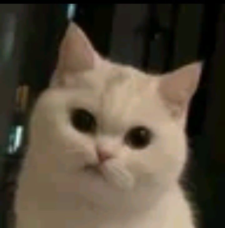 แป๋วมาแย้ว🥺