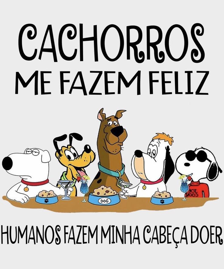 nzmendes1's tweet image. Simples assim!! ❤️🐕❤️