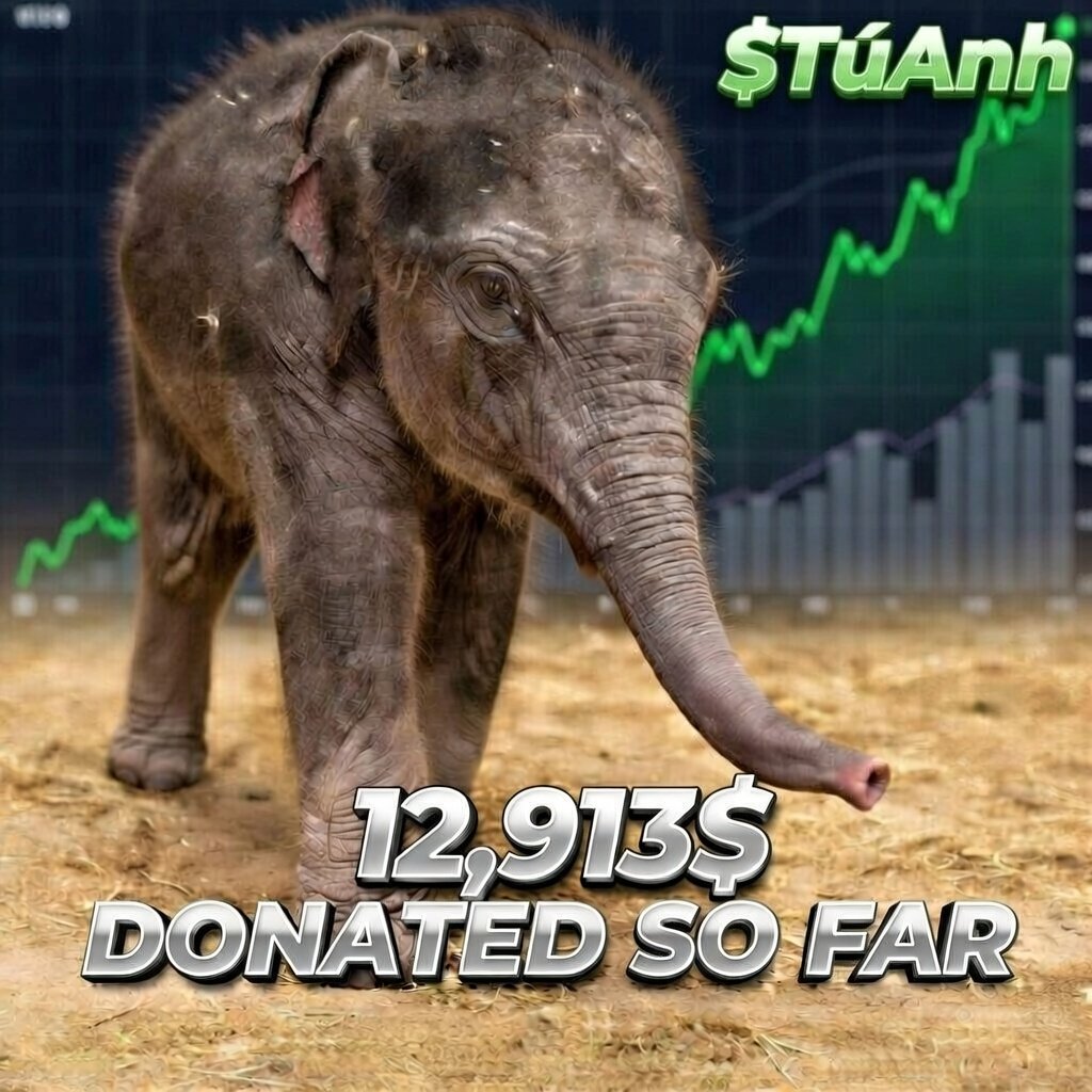 Another $1,612 donated to <a href="/NationalZoo/">National Zoo</a> 

Totaling $12,913 !