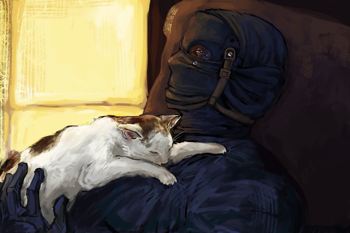 rrrob🪖 tweet media