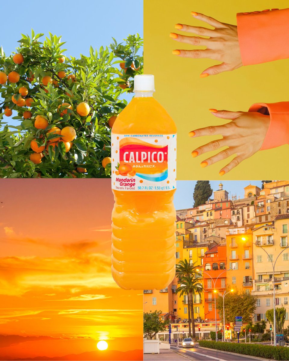 Calpico USA tweet media