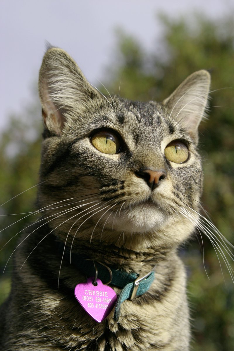 Jack Bodenmann tweet media