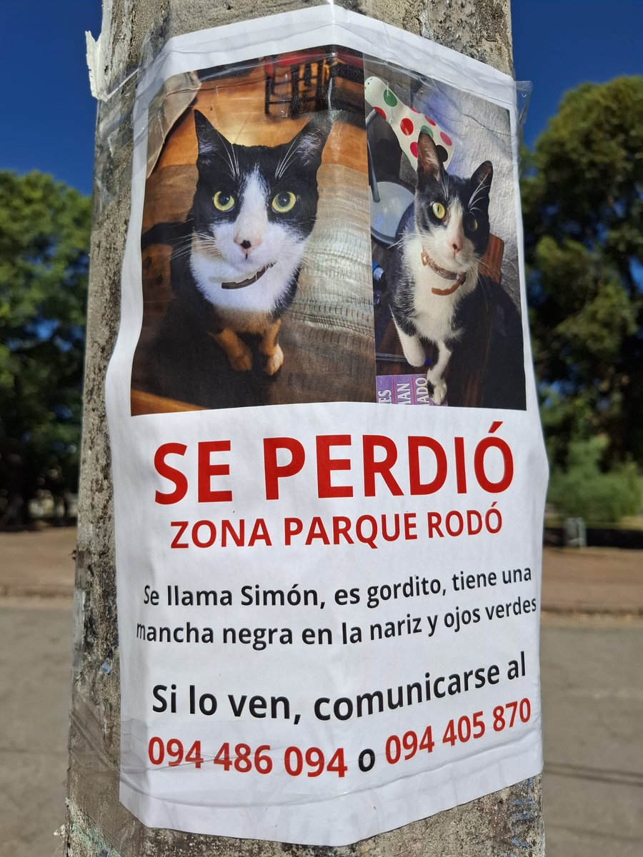 En el Parque Rodó
Vamos a dar RT