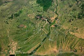 alvarogonzalezu's tweet image. En estos duros momentos siempre vienen a mi mente estas imágenes de cómo los Zenues controlaban las inundaciones y aprovechaban las aguas para sus cultivos.
150 000 ha de la cuenca del Sinú y 5 000 de la del San Jorge. 
Todavía es posible ver vestigios del sistema desde el aire.