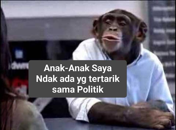 Toba tweet media