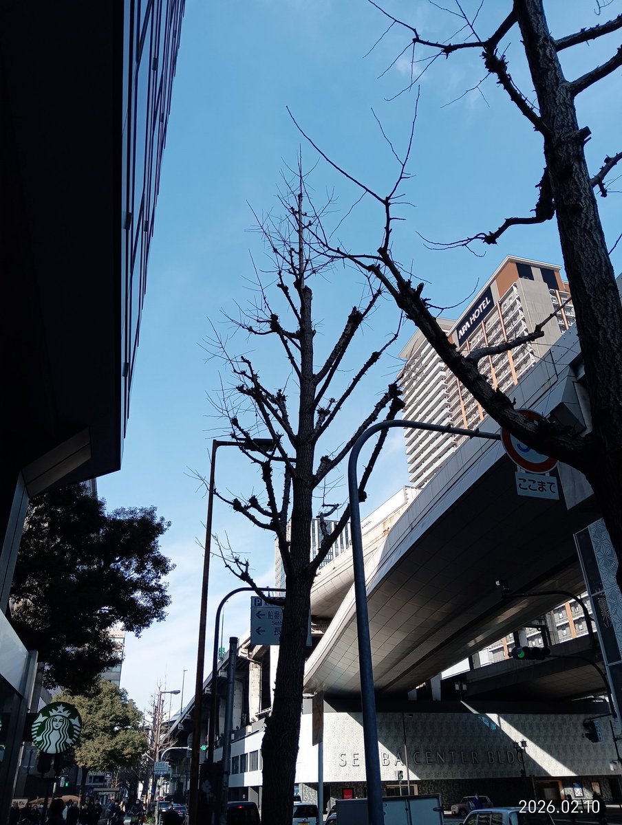 今日の大阪はいい天気☀明日明後日は暖かくなるかな…？なんか今日は会社行く足が軽い（笑）