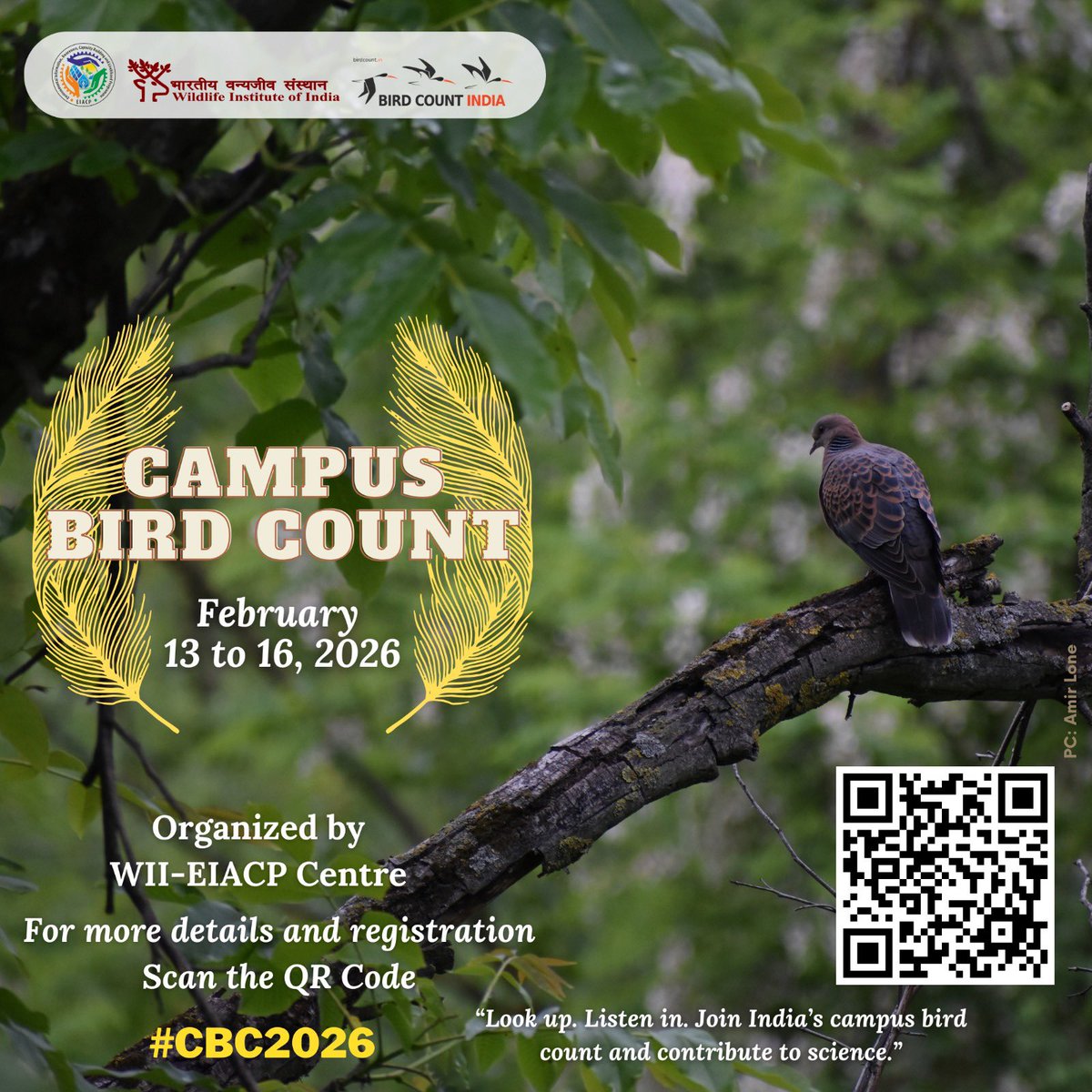 Wildlife Institute of India tweet media