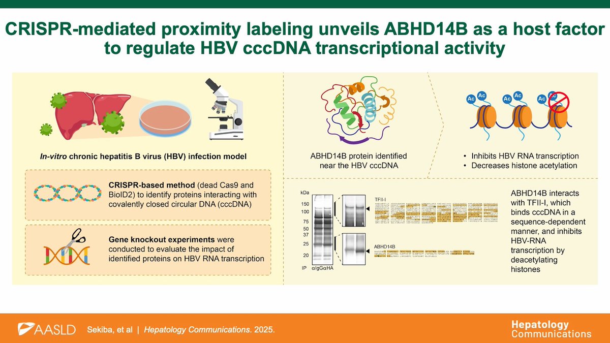 Hepatology Communications tweet media