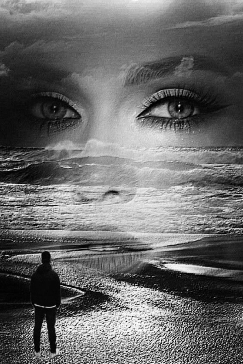 CeCy⚘️ tweet media