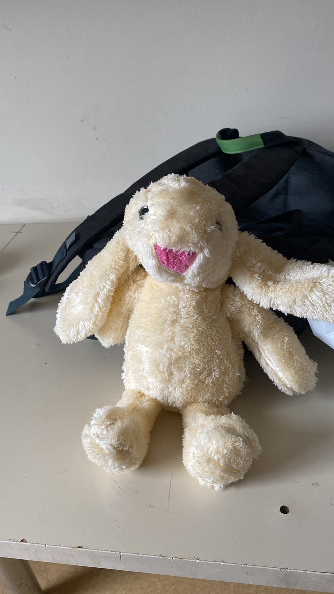 MiniVerdant's tweet photo. Geçen gün peluş sipariş etmiştim

Fotoğraftaki/Gelen https://t.co/nUECLpk8yu