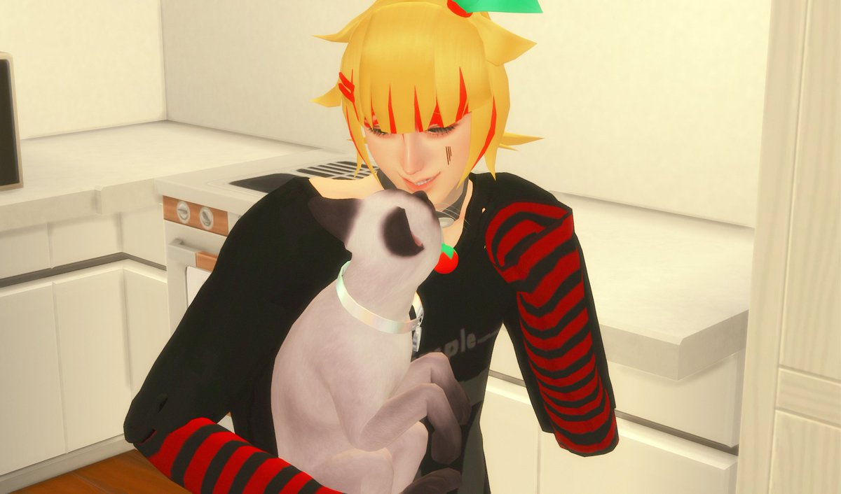 みにとまのみ一人暮らしだったので猫ちゃんをお迎え。かわいい