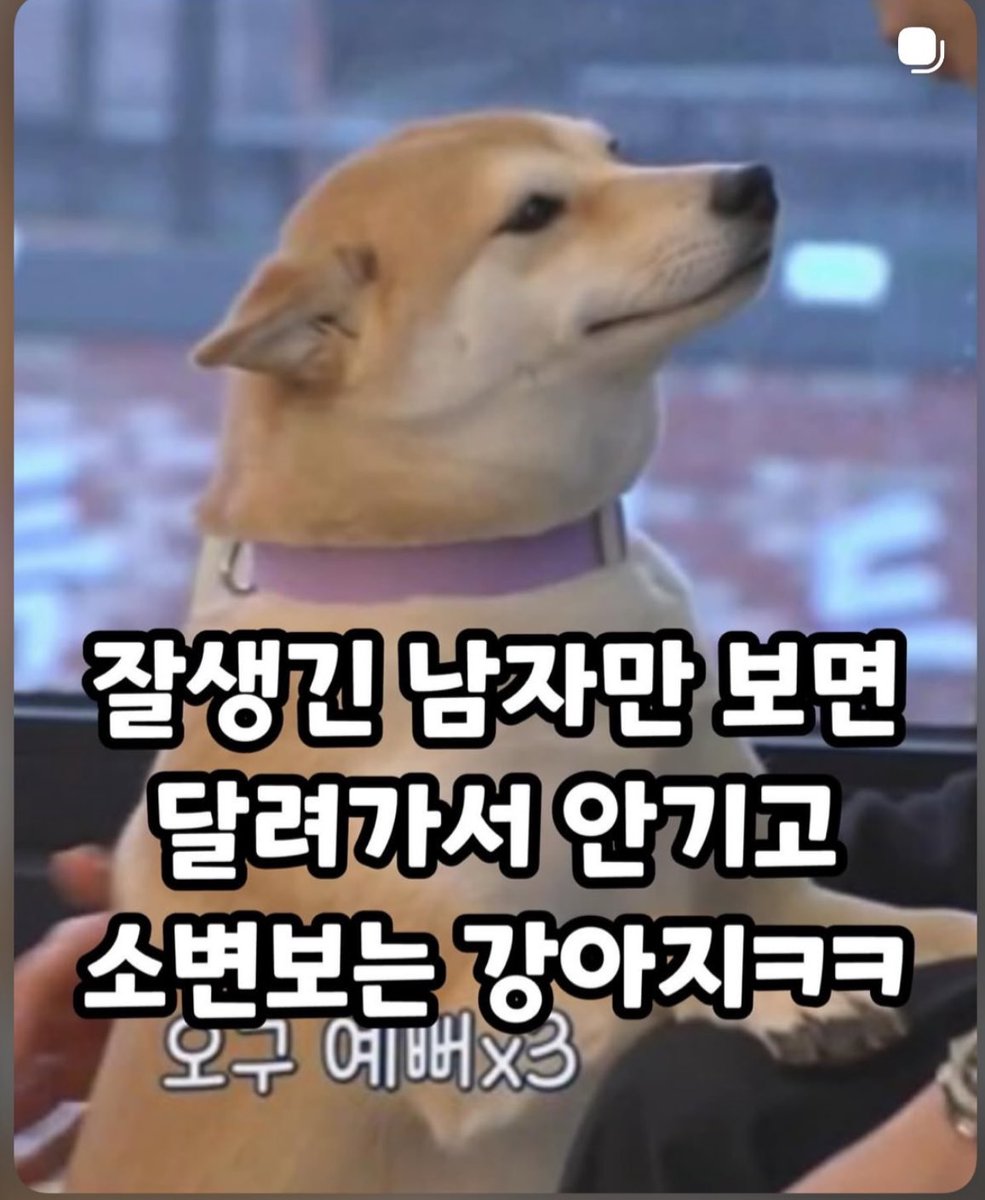 옥지다 ㄹㅇㅋㅋ