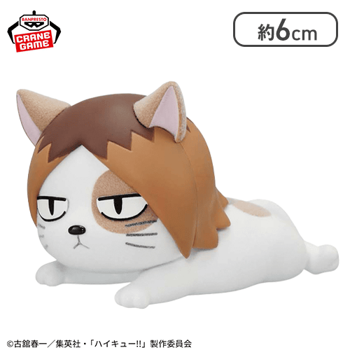 🐦‍⬛🐈入荷案内🐈🐦‍⬛ #ハイキュー!! Fluffy Puffy〜烏野高校・音駒