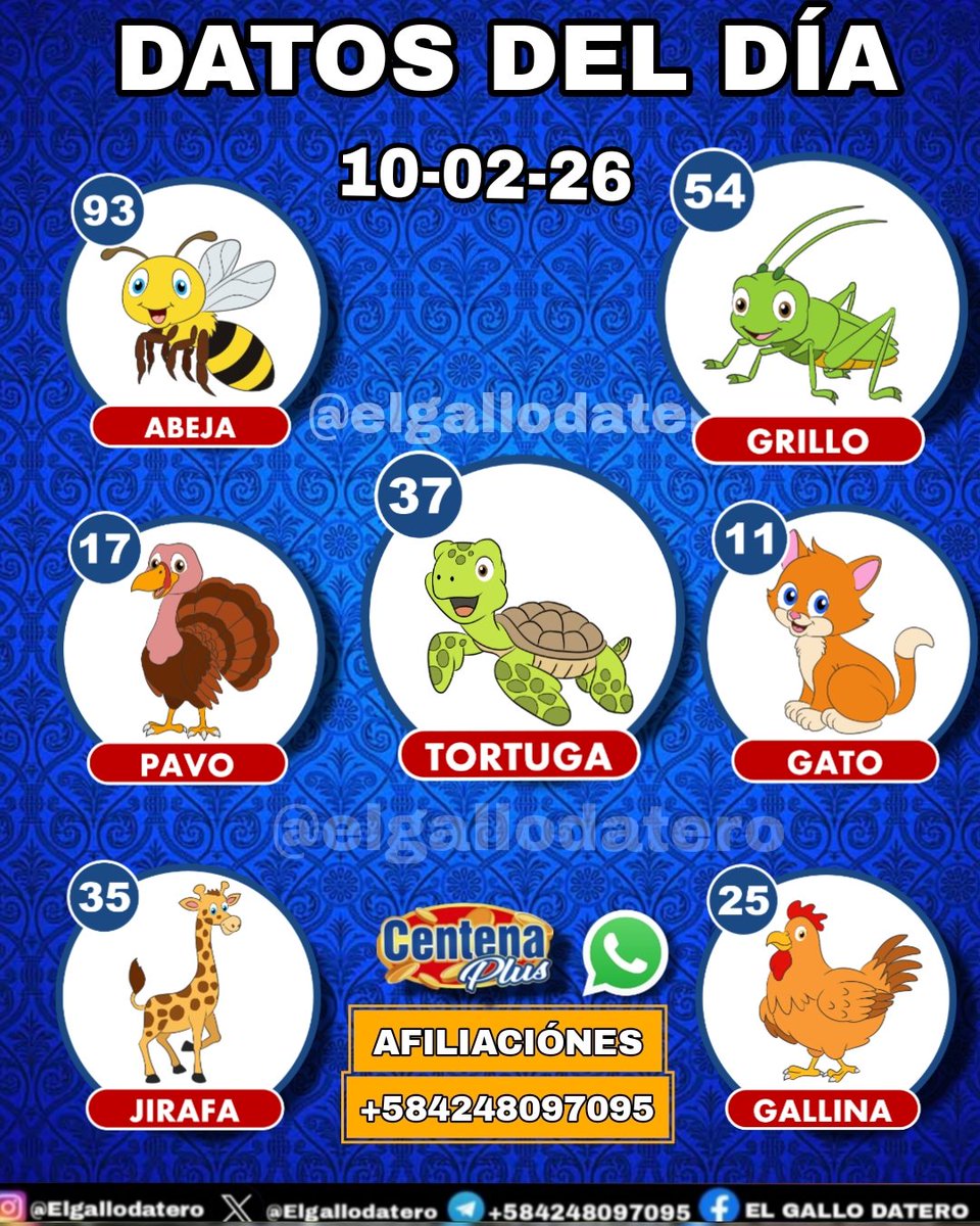 Elgallodatero's tweet photo. #CentenaPlus https://t.co/gJ3mhawNor