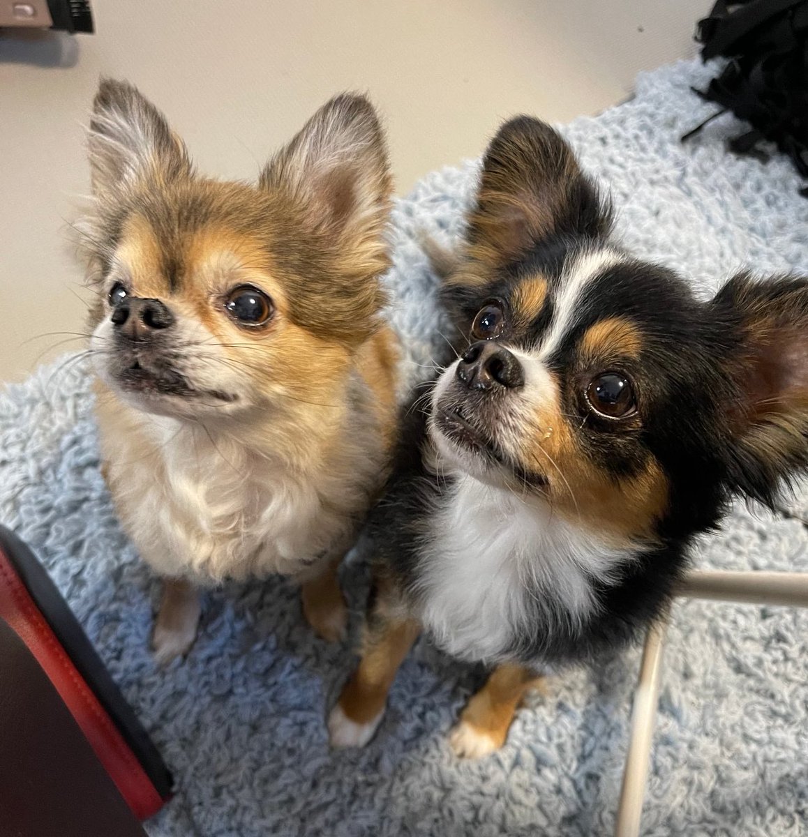 最大の報復はとびきり幸せな生涯を送ること