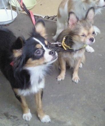 最大の報復はとびきり幸せな生涯を送ること