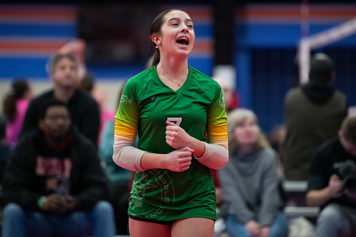 Pineapple High Performance tweet media