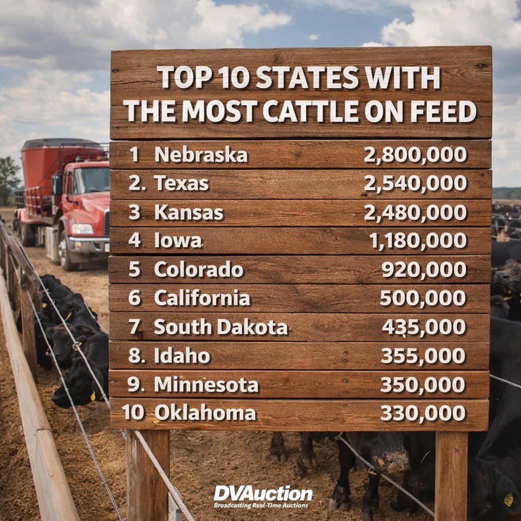 Mike Wardyn tweet media