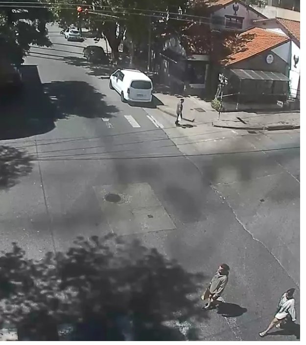 Florencia Palmieri tweet media