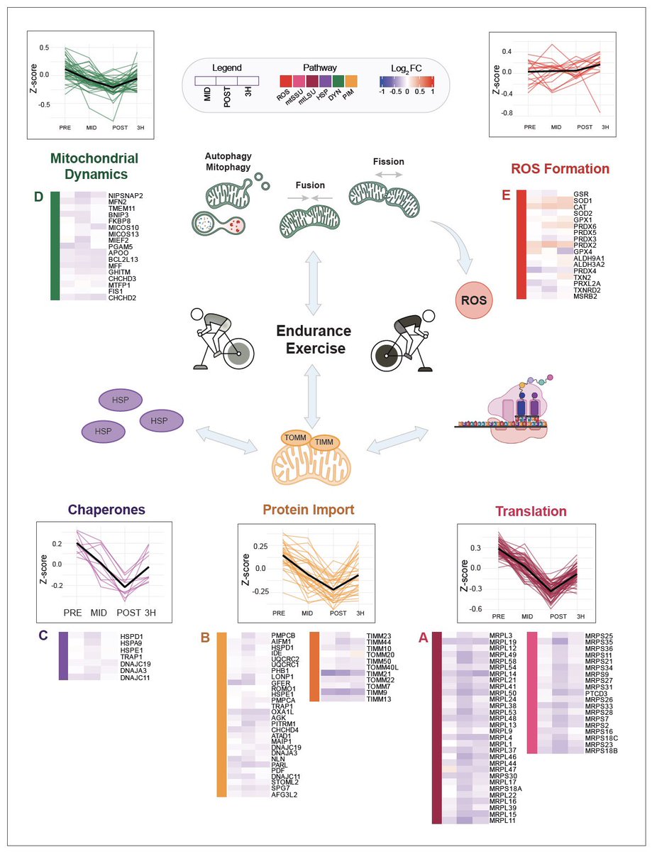 Liz Reisman tweet media