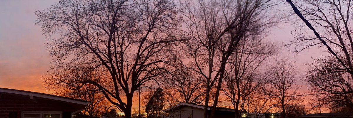 Totally Texas Tech 🌵 tweet media