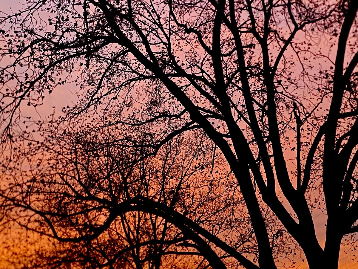 Totally Texas Tech 🌵 tweet media