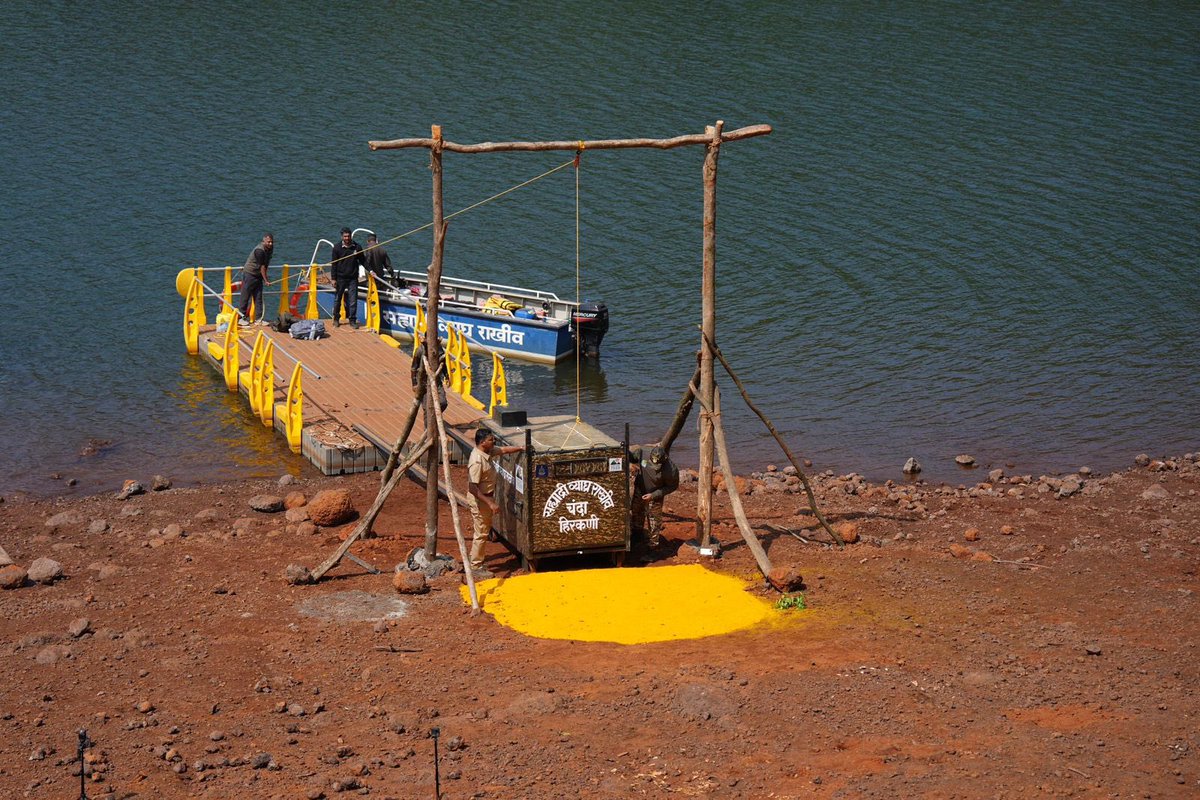 Wildlife Institute of India tweet media