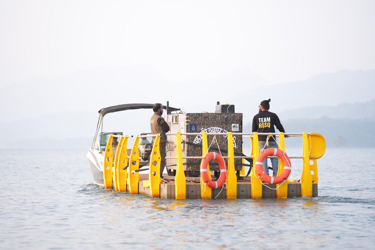 Wildlife Institute of India tweet media