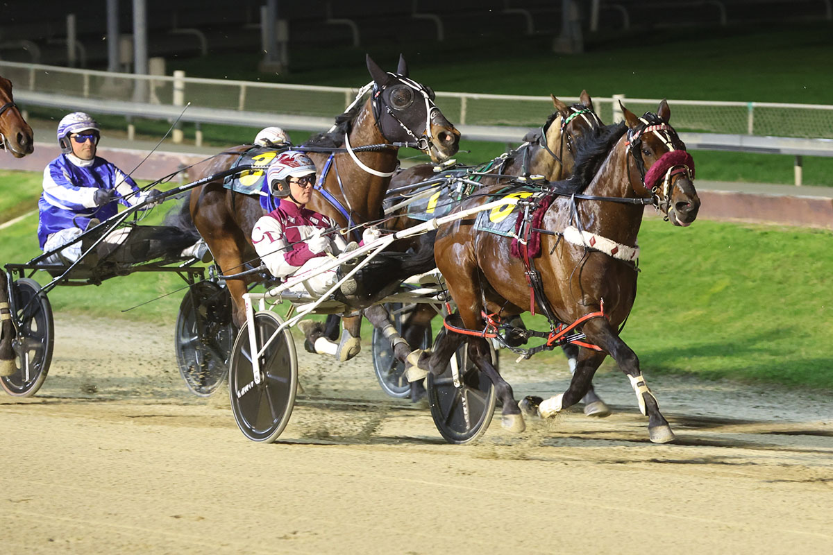 Harnesslink's tweet photo. Republican Party has secured the coveted pole position in gate one, boosting its chances after firming from $12 to $4.60.
#AdamHamilton #Harnesslink #HunterCup
https://t.co/2jR018slrp https://t.co/MA67v5Puzu