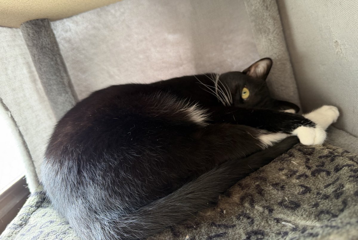 めぐみ♂ (@0625megu_mi) / Posts / X