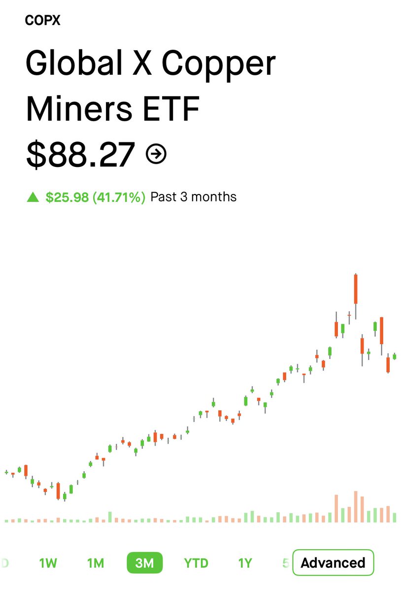 BuskerBrown tweet media