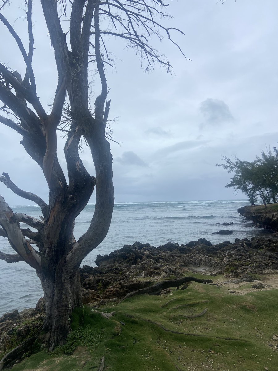 Intrusive thought of the day is Hawaii is kind of like tropical Ireland 

Will not explain further