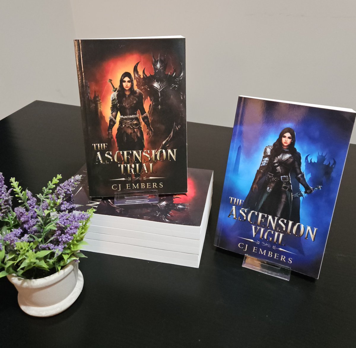 authorcjembers's tweet photo. Preparing for eventual fairs and markets, and my first purchase was book stands! Very happy with them 🧡

#bookfair #indieauthor #nafantasy #smallbusiness #antihero https://t.co/vJ4DzV1LNr
